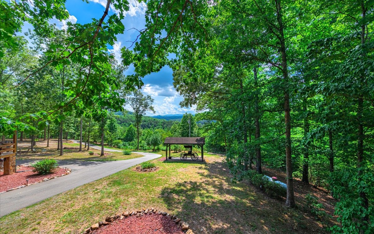 470 Yellowbird Trail Blue Ridge, GA 30513 - Photo 57 of 62 Additional View