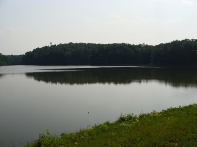 Lot 12 Clark Road Snow Camp, NC 27349 - Photo 2 of 5 Gallery Image 2