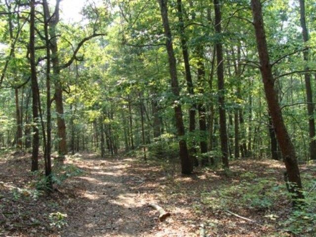 Lot 12 Clark Road Snow Camp, NC 27349 - Photo 3 of 5 Gallery Image 3