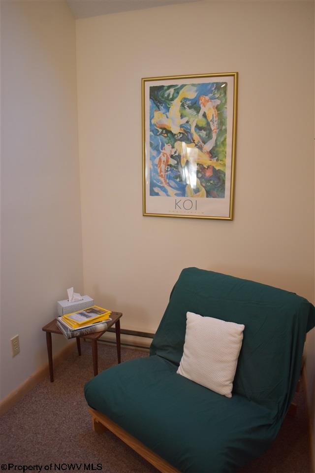 70 Forest Ridge Road Davis, WV 26260 - Photo 14 of 20 Gallery Image 14