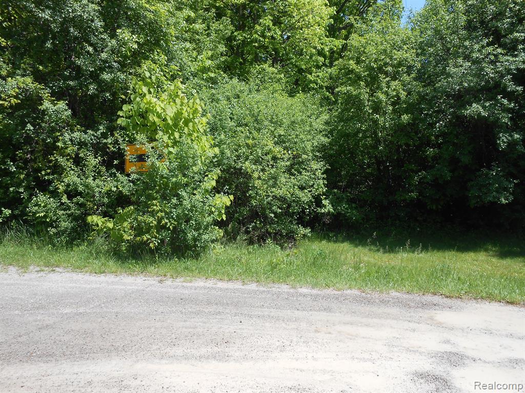 0 Oleksyn Road Flint, MI 48504 - Photo 2 of 4