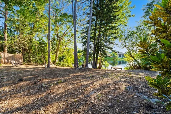 a view of a yard with a tree