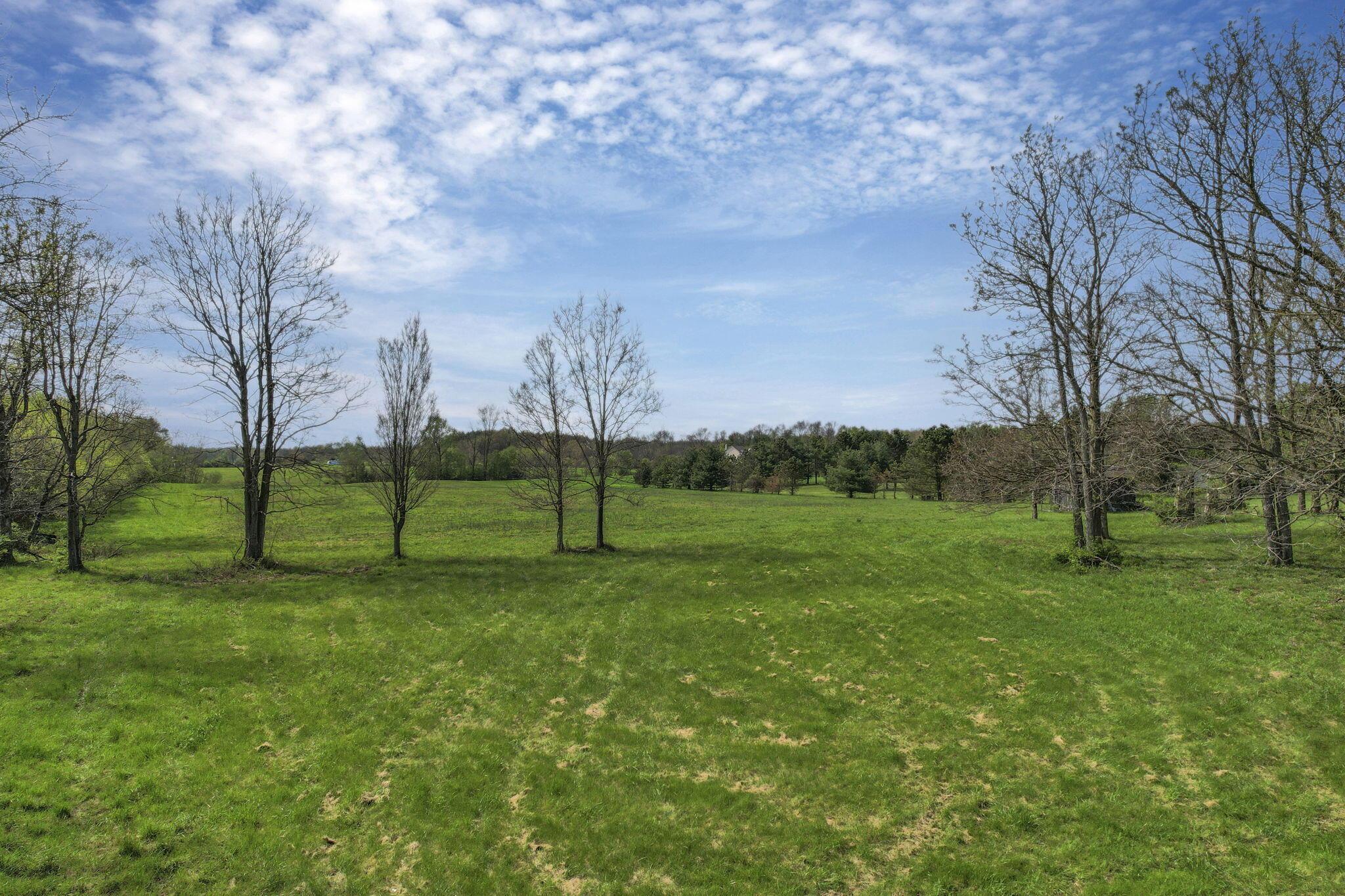 1476 Africa Road Galena, OH 43021 - Photo 11 of 13 1-web-or-mls-DJI_0265