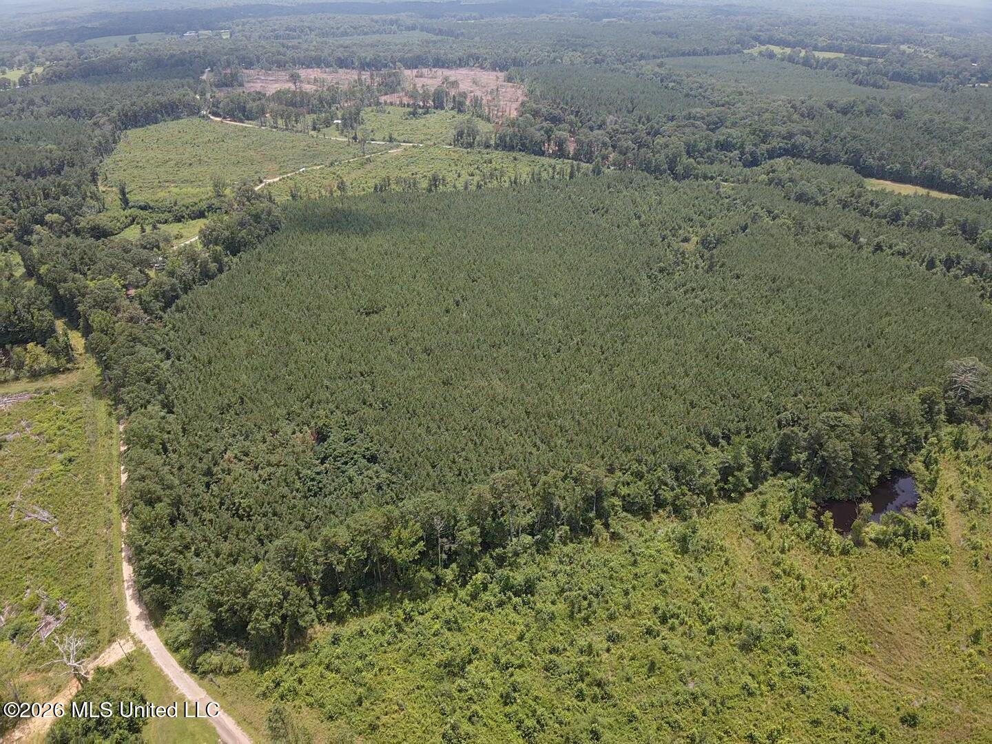 131 B County Road Morton, MS 39117 - Photo 13 of 25 2026-07-05-13-44-37-494