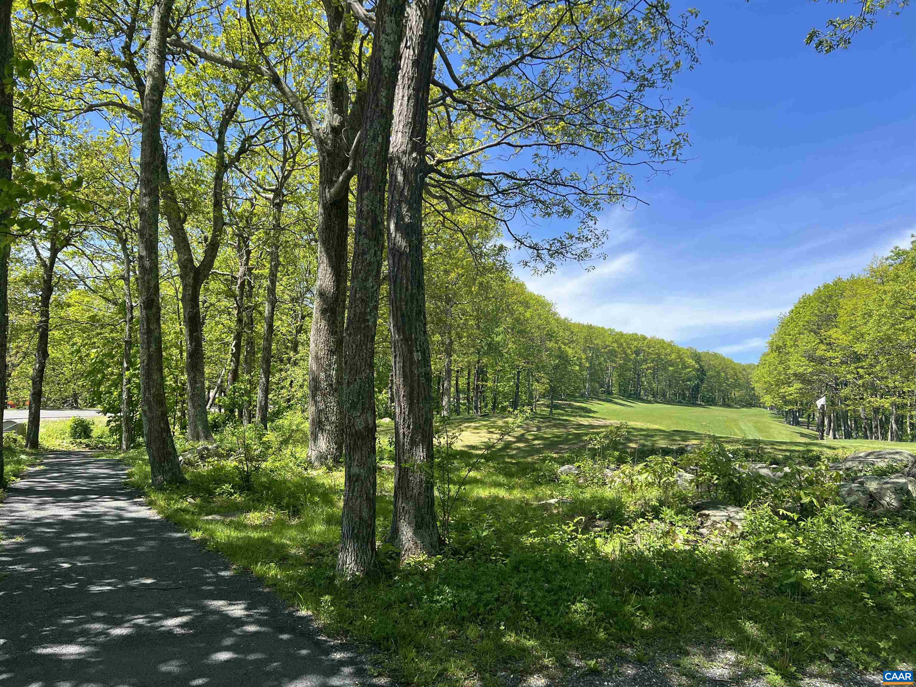 1808 High Ridge Roseland, VA 22967 - Photo 27 of 44 Devils Knob 2nd Hole Green
