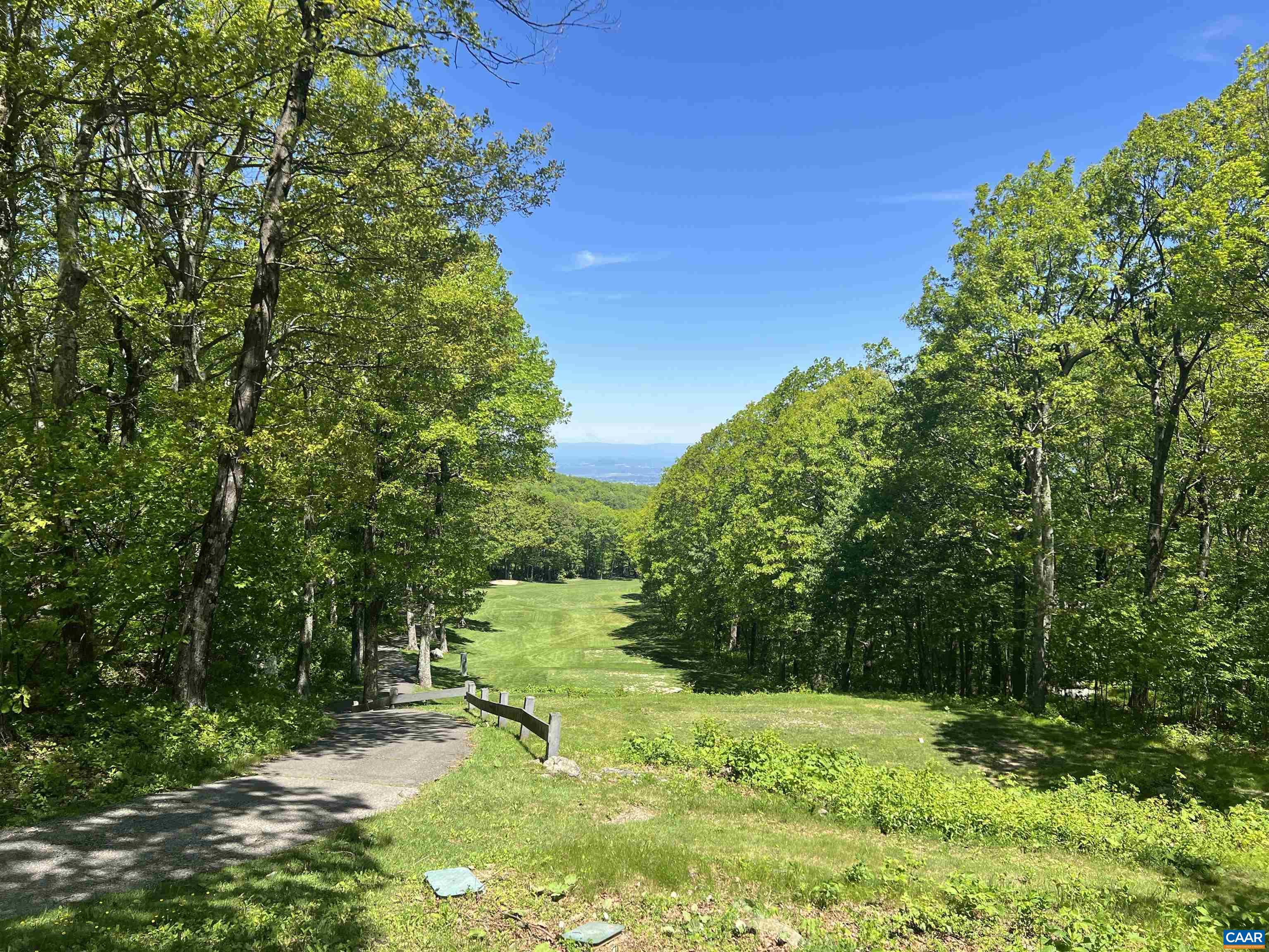 1808 High Ridge Roseland, VA 22967 - Photo 28 of 44 Devils Knob 3rd Hole Tee