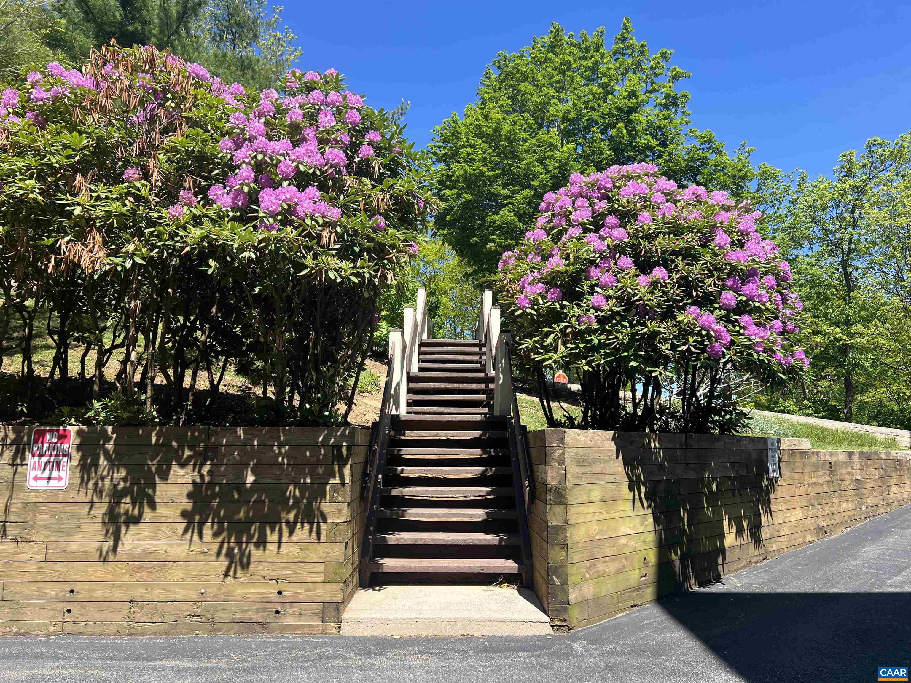1808 High Ridge Roseland, VA 22967 - Photo 31 of 44 Stairs - Parking to Road