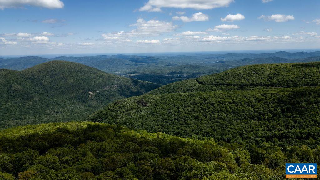 1808 High Ridge Roseland, VA 22967 - Photo 42 of 44