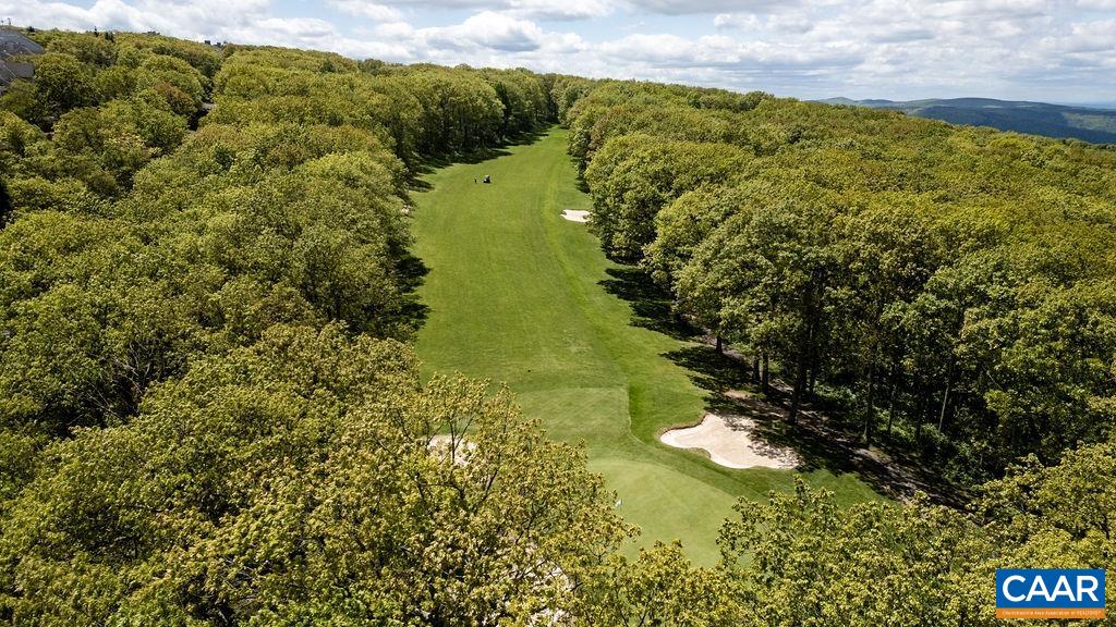 1808 High Ridge Roseland, VA 22967 - Photo 44 of 44