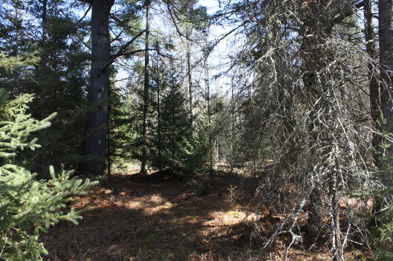 On Rice Creek Lane, Unit 6613 Eagle River, WI 54521 - Photo 11 of 15 Gallery Image 11