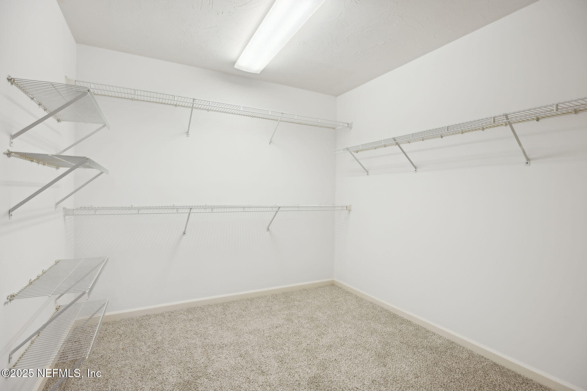 4063 Mizner Court Jacksonville, FL 32217 - Photo 16 of 28 Walk In Closet