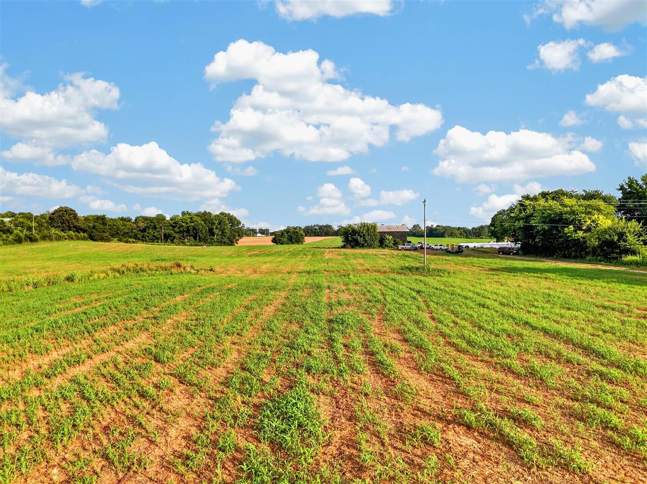 0 Russellville Road Rockfield, KY 42274 - Photo 10 of 20 Gallery Image 10