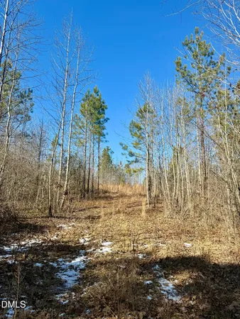 $130,000 | 0 Warren Woods Street, Warrenton, NC 27589