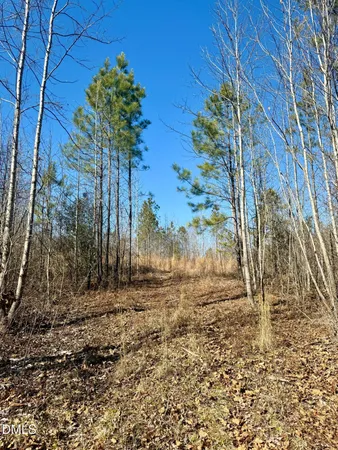 $130,000 | 0 Warren Woods Street, Warrenton, NC 27589
