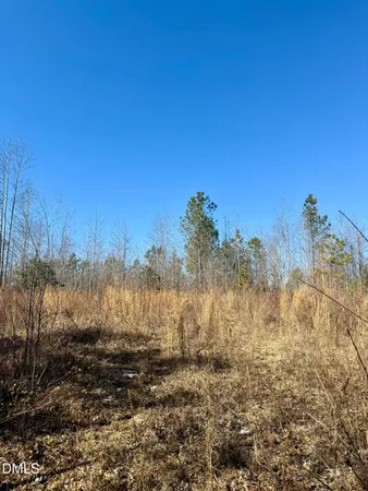 $130,000 | 0 Warren Woods Street, Warrenton, NC 27589