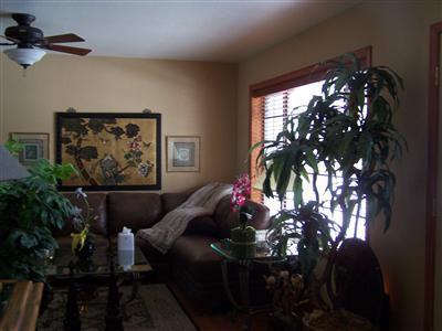 5124 South Opal Road Flagstaff, AZ 86005 - Photo 16 of 28 Additional Photo