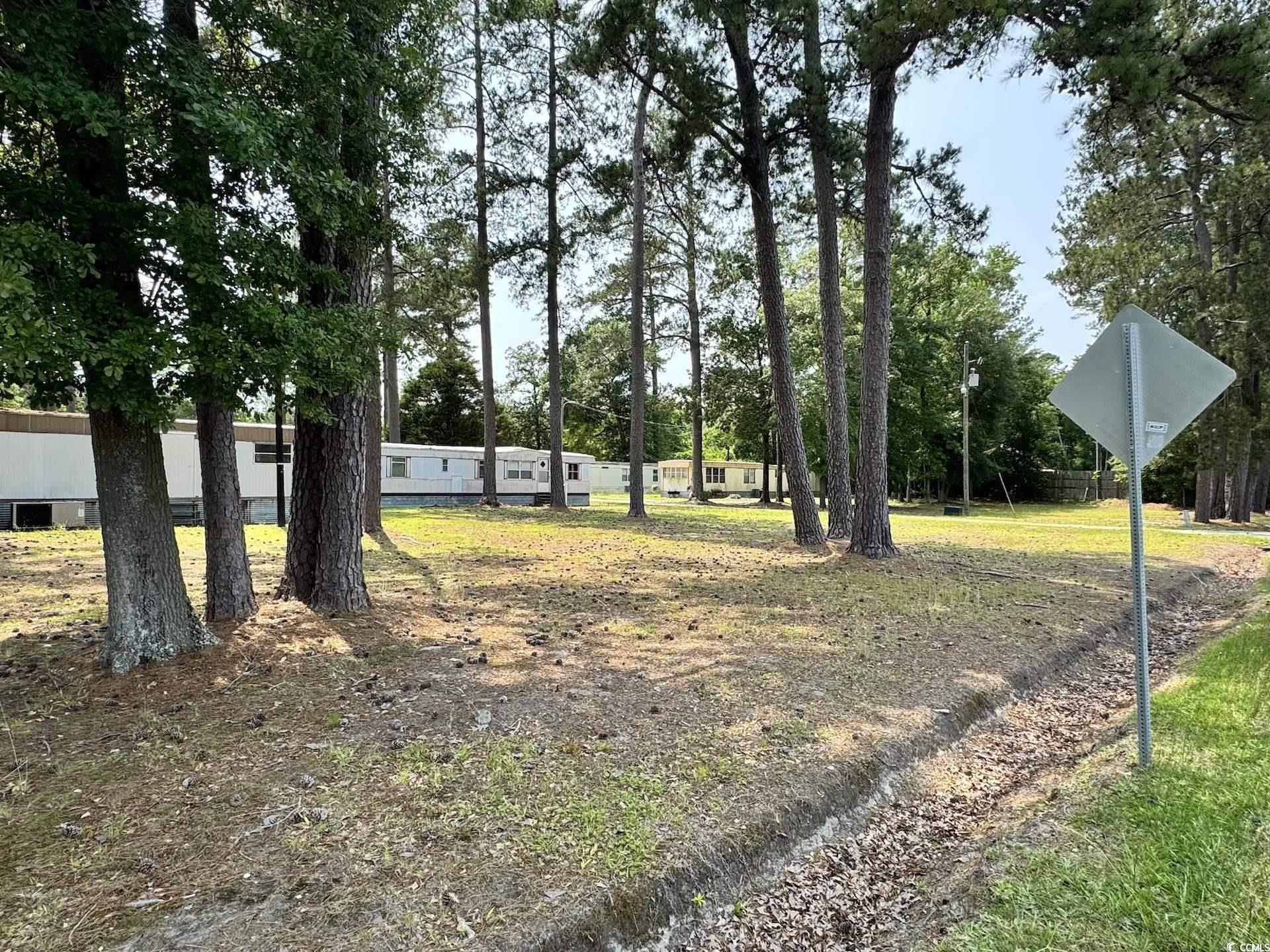 1515 Old Hamer Road Hamer, SC 29547 - Photo 3 of 10