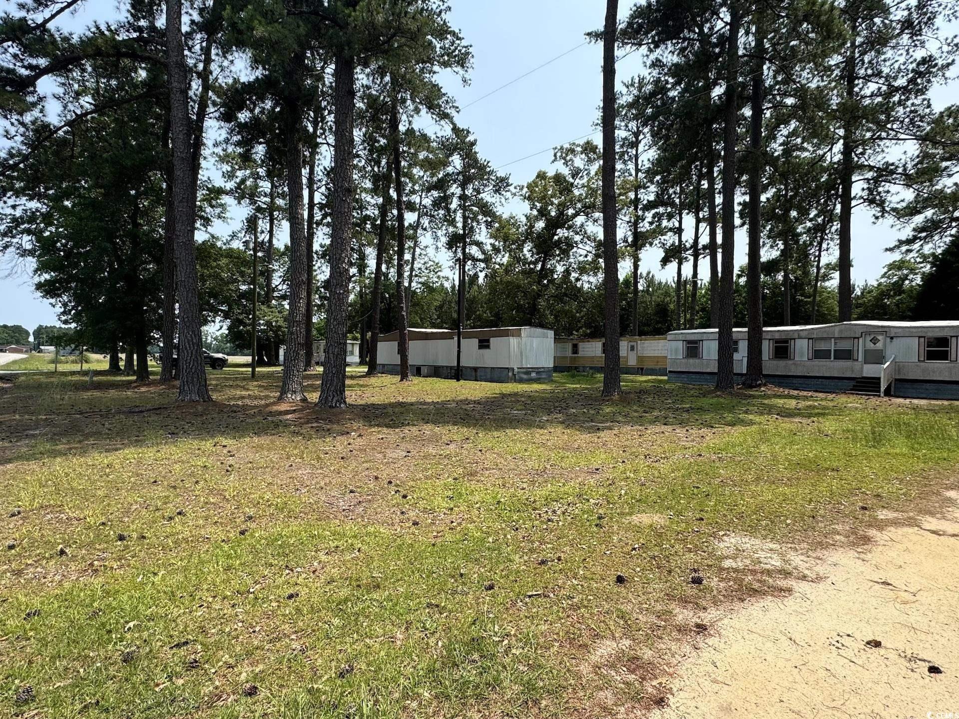 1515 Old Hamer Road Hamer, SC 29547 - Photo 6 of 10