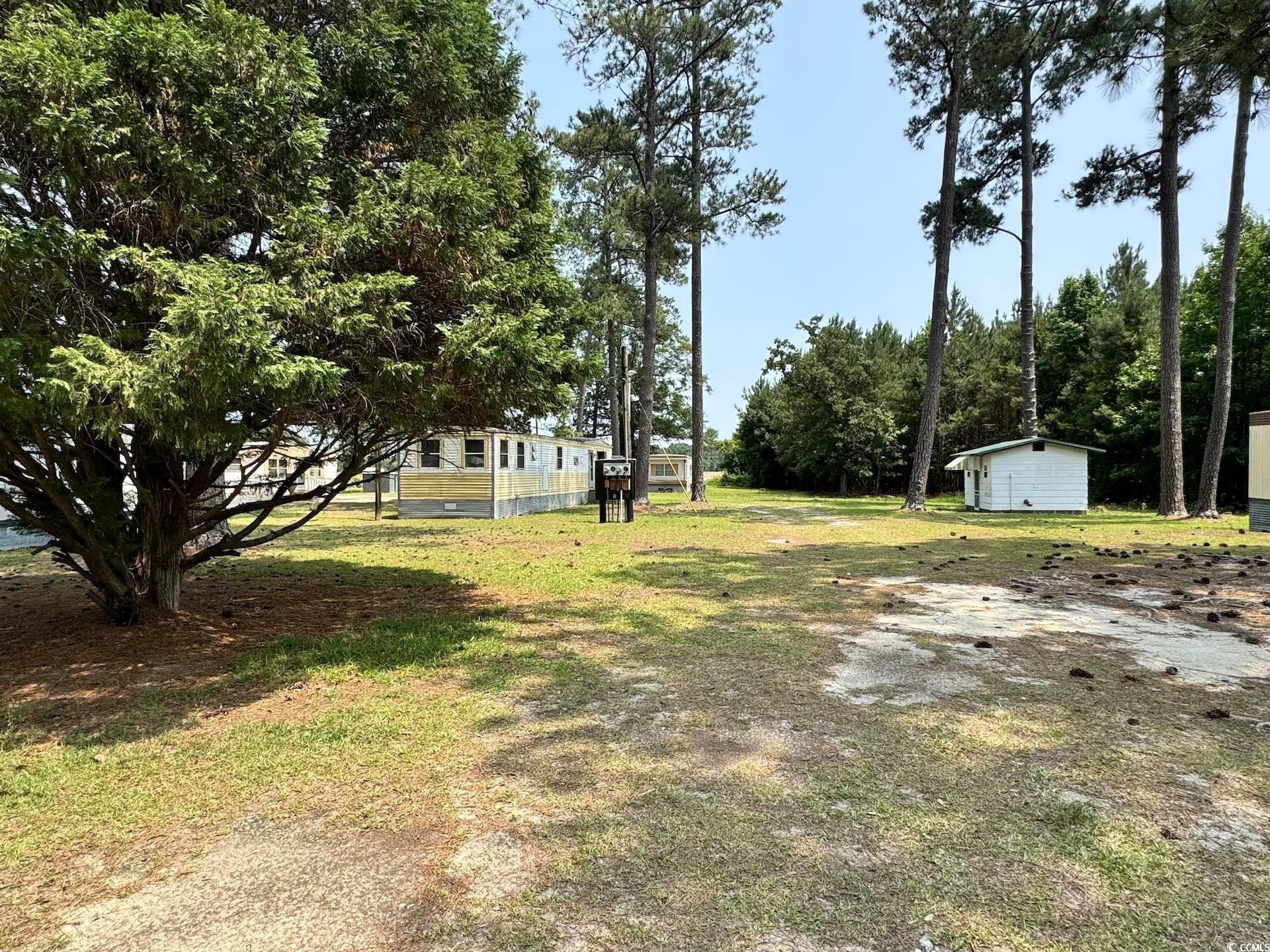 1515 Old Hamer Road Hamer, SC 29547 - Photo 7 of 10