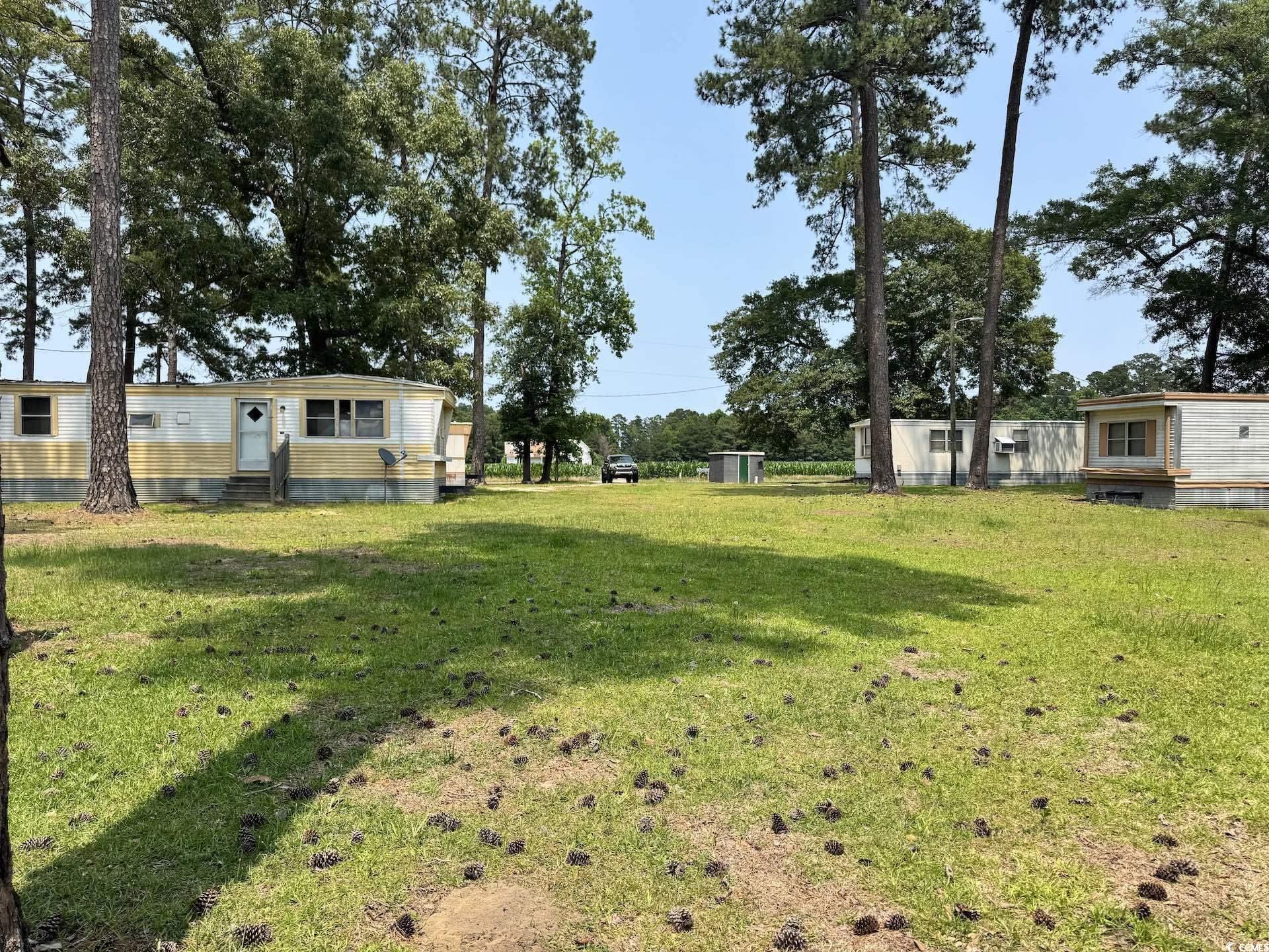 1515 Old Hamer Road Hamer, SC 29547 - Photo 10 of 10