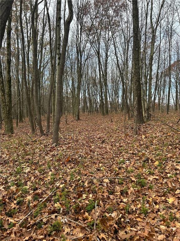 Lot Bullion Road Polk, PA 16342 - Photo 3 of 7 a view of a yard with trees