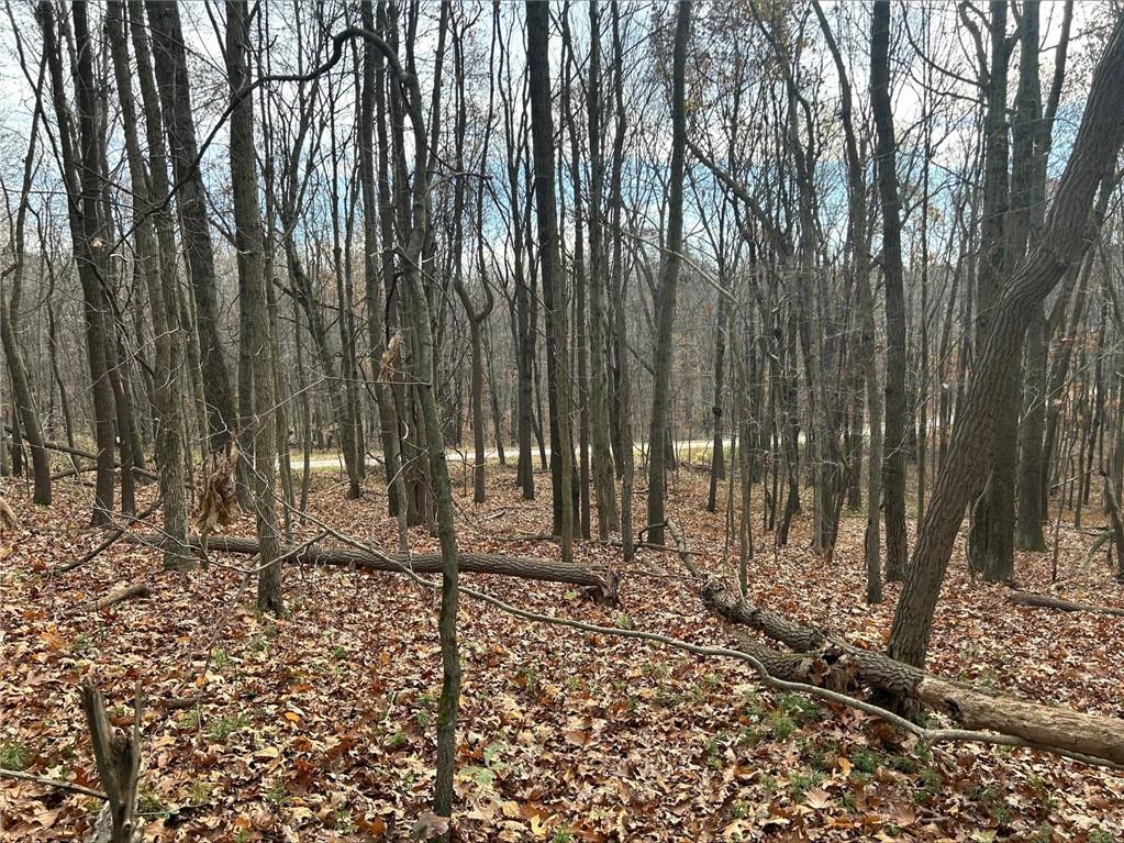 Lot Bullion Road Polk, PA 16342 - Photo 5 of 7 a view of a backyard with trees