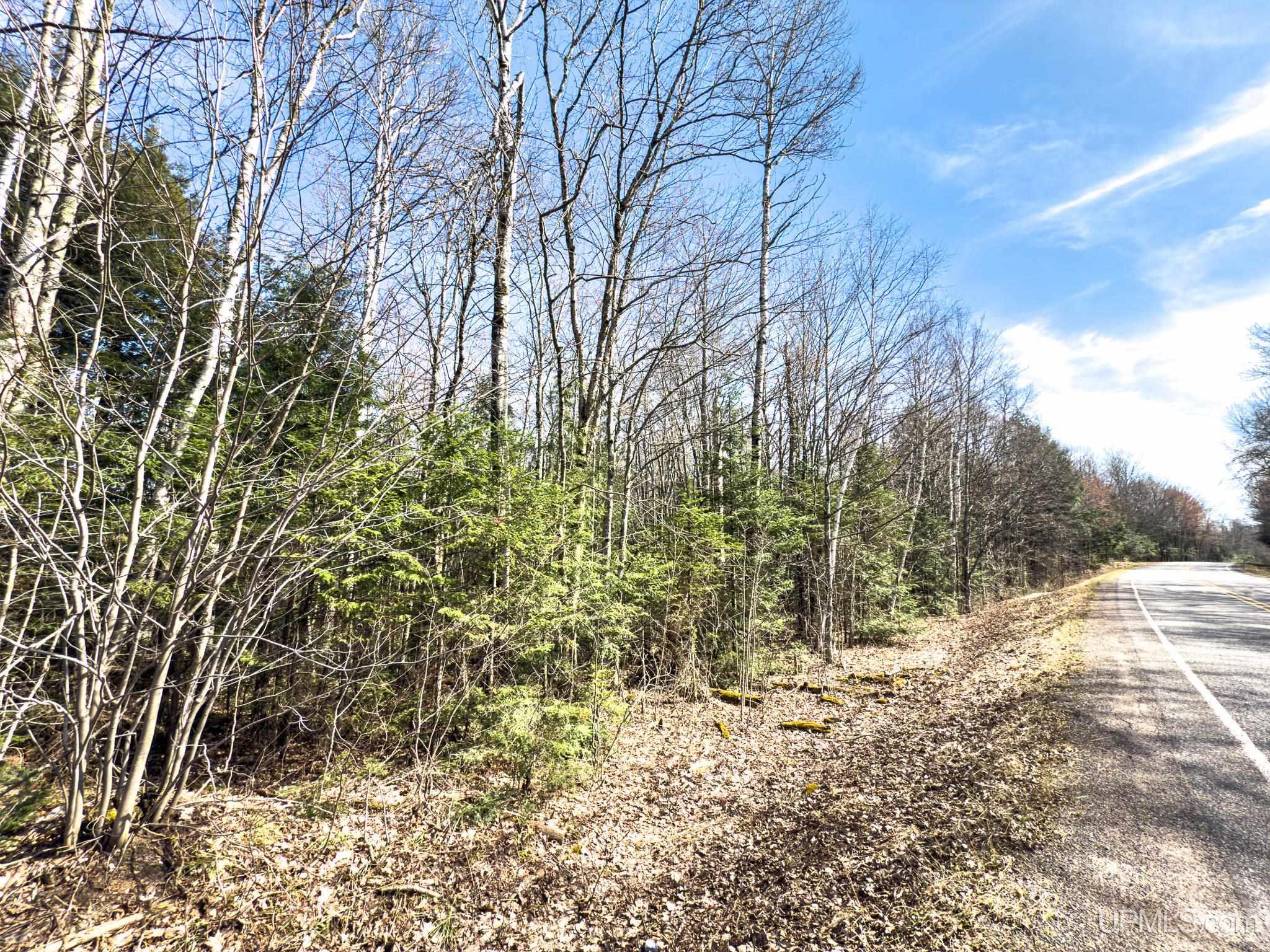 On On Chaney Lake Road Wakefield, MI 49968 - Photo 4 of 10