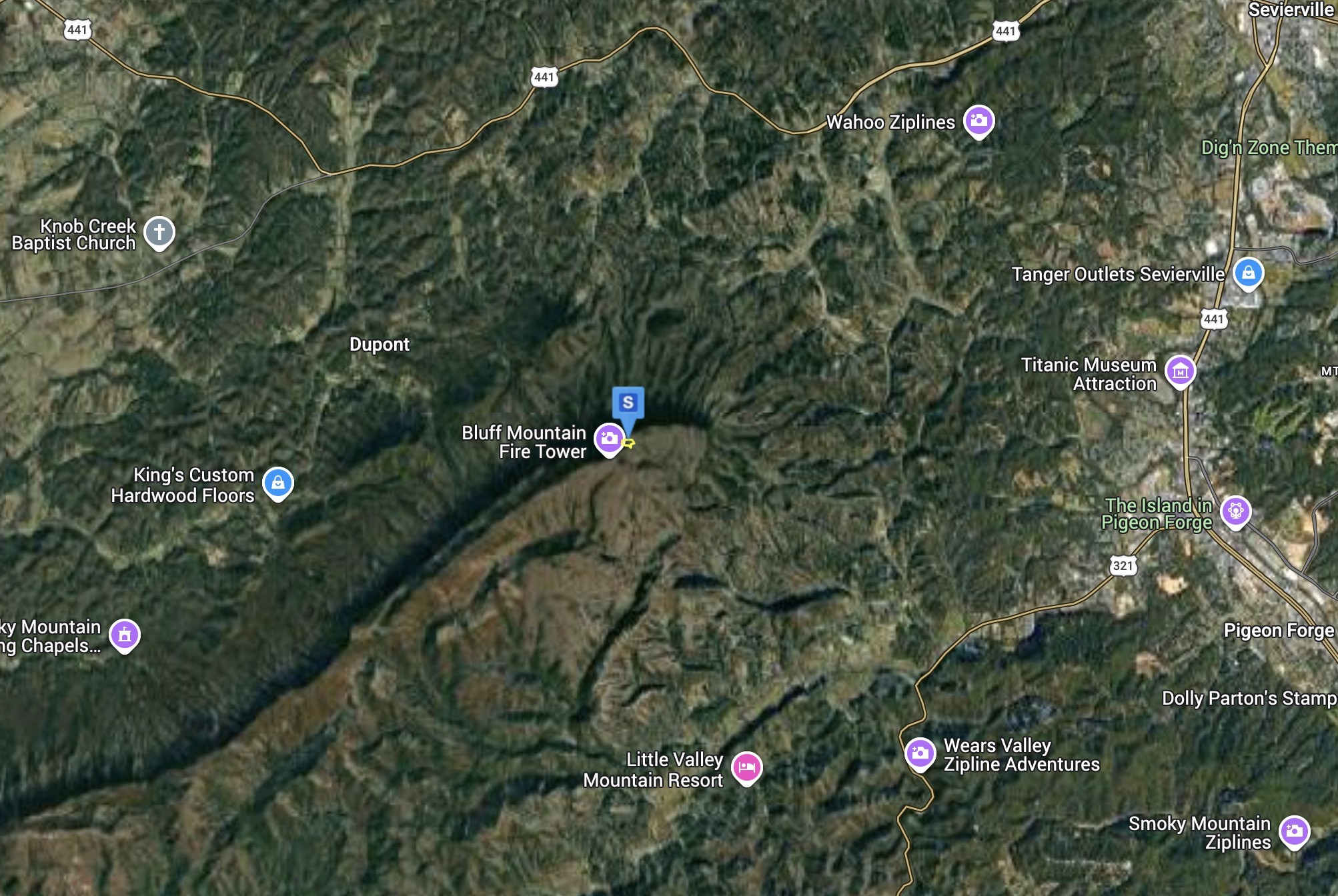 2588 Bluff Mountain Road Sevierville, TN 37876 - Photo 4 of 5 a view of a flower in a garden