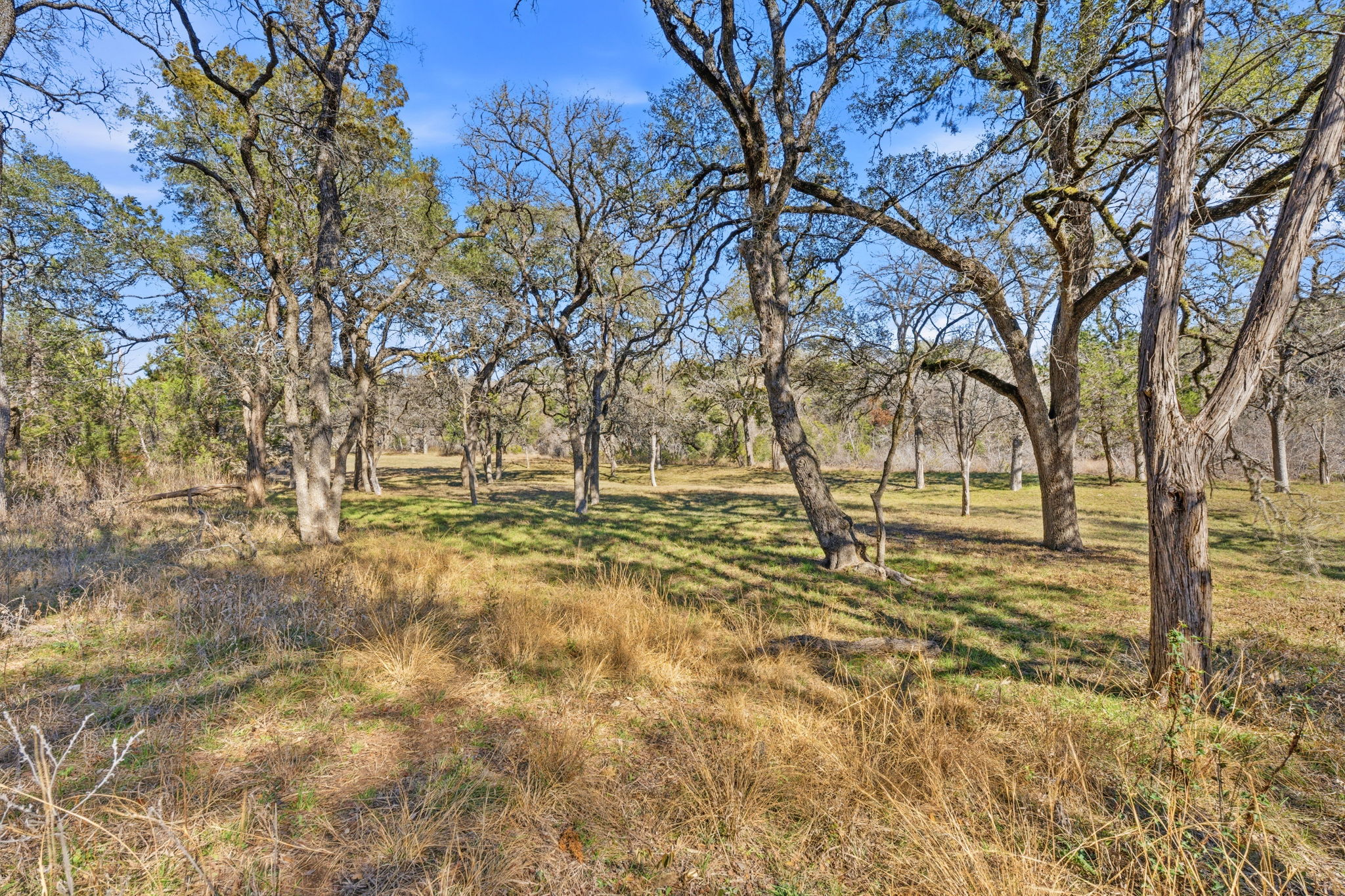 1081 Clark Cove Road Buda, TX 78610 - Photo 24 of 29 This is a photo taken on the property of the neighbors backyard. This was taken to show how you can clear the land to look like a park.