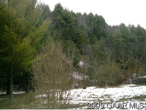4395 Pig Run Road Millboro, VA 24460 - Photo 2 of 2 Gallery Image 2