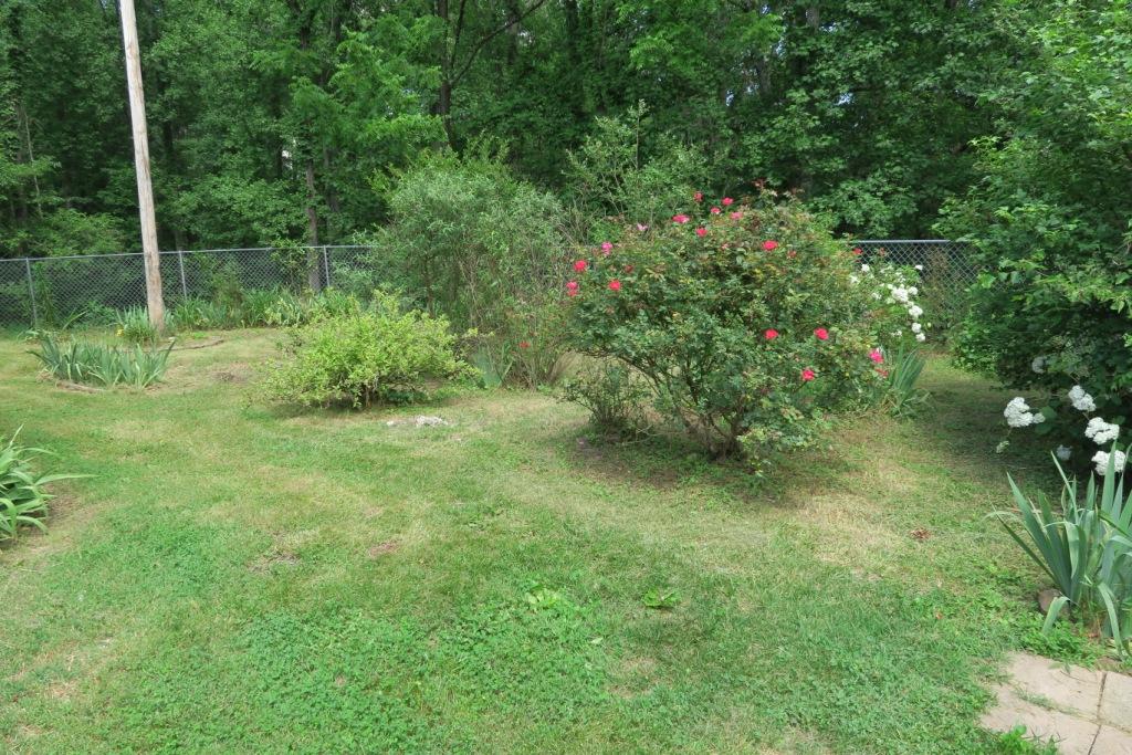 4364 Pitzer Road Roanoke, VA 24014 - Photo 7 of 15 Back yard
