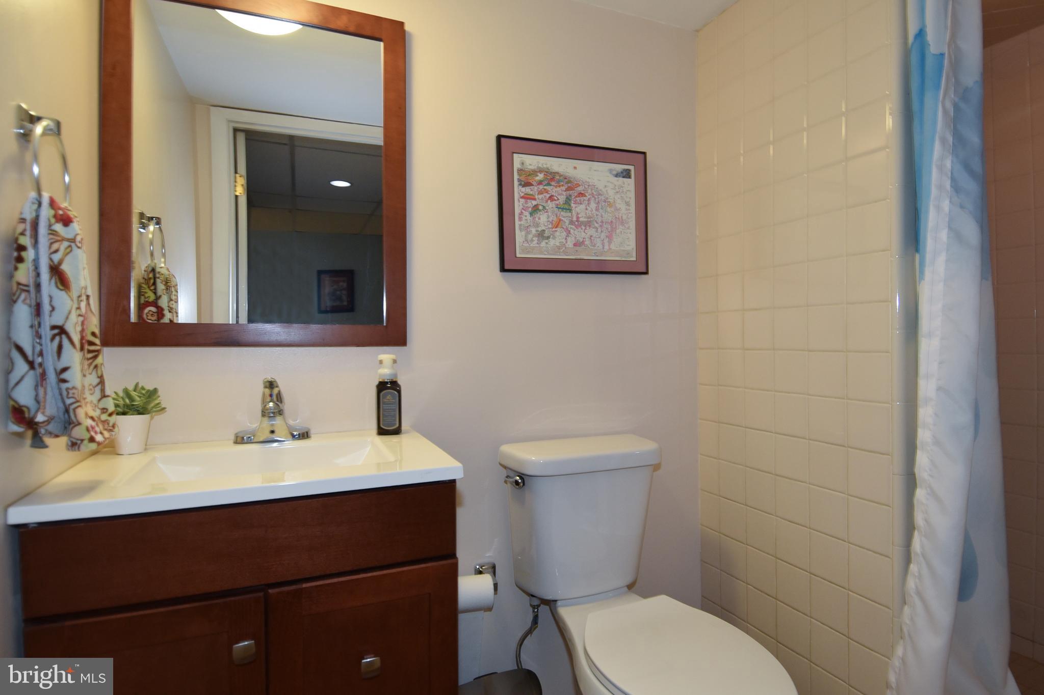 13712 Berkley Road Silver Spring, MD 20904 - Photo 32 of 48 3rd Full Bath - Basement