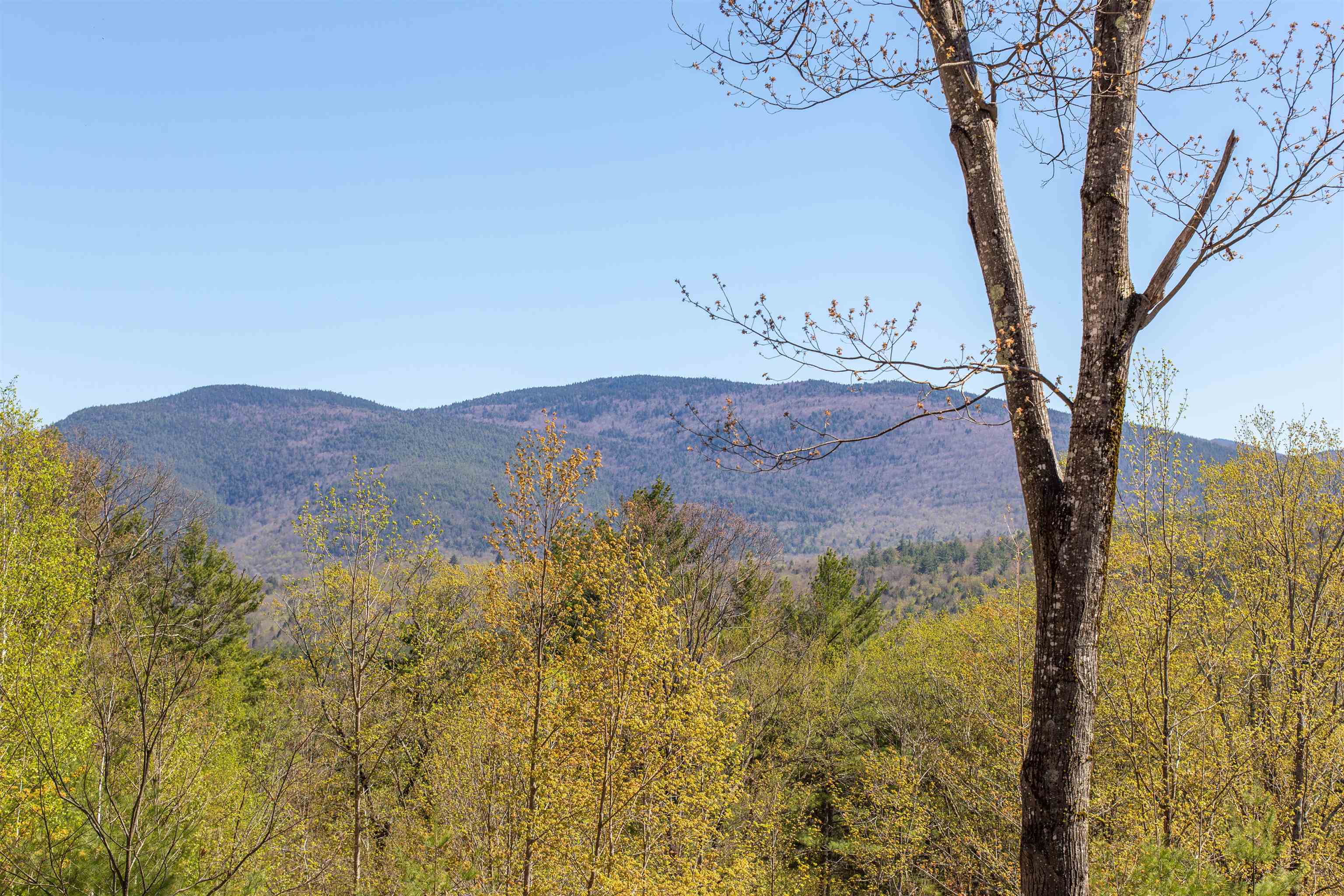 762 Cleveland Hill Road Tamworth, NH 03886 - Photo 1 of 40