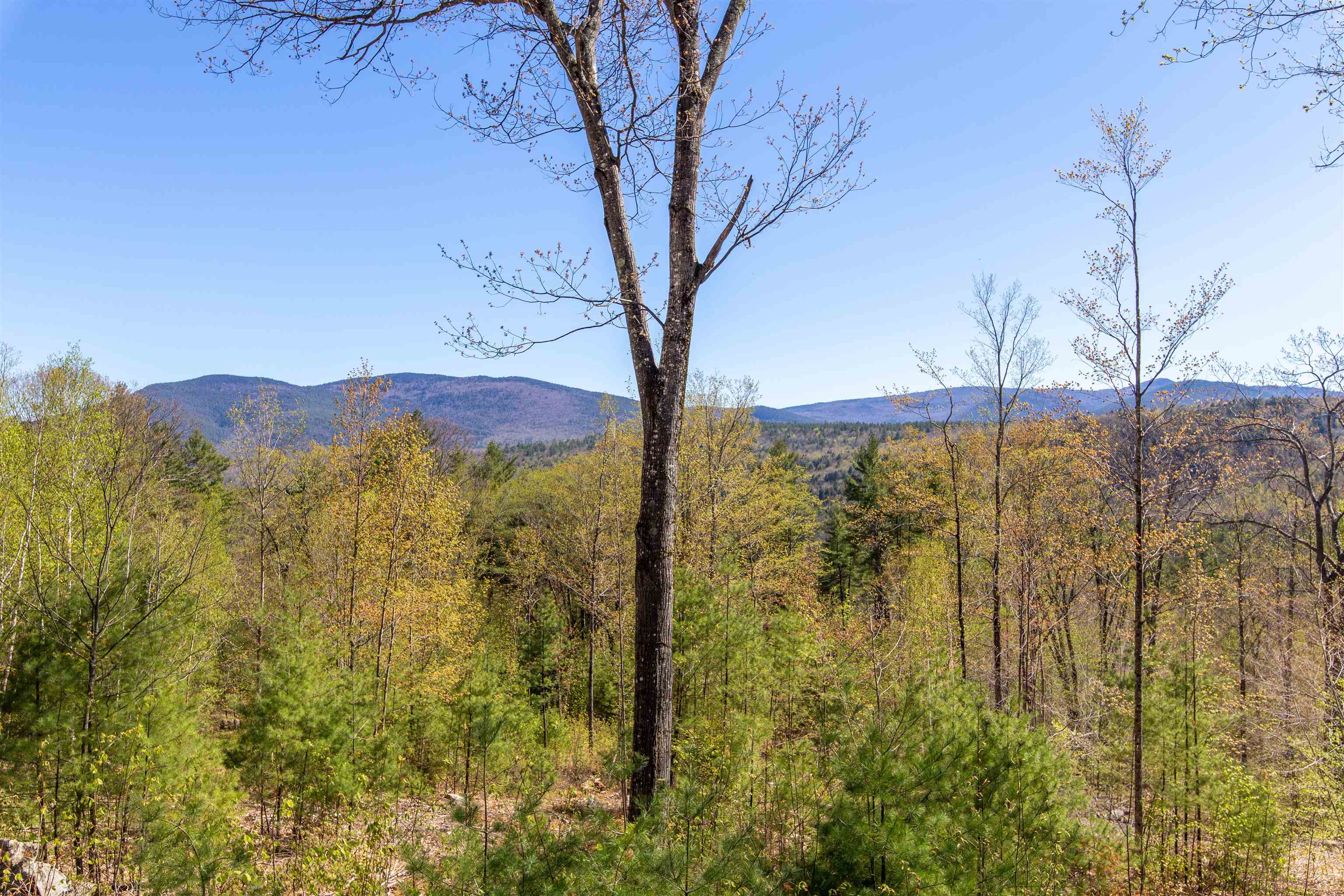 762 Cleveland Hill Road Tamworth, NH 03886 - Photo 2 of 40