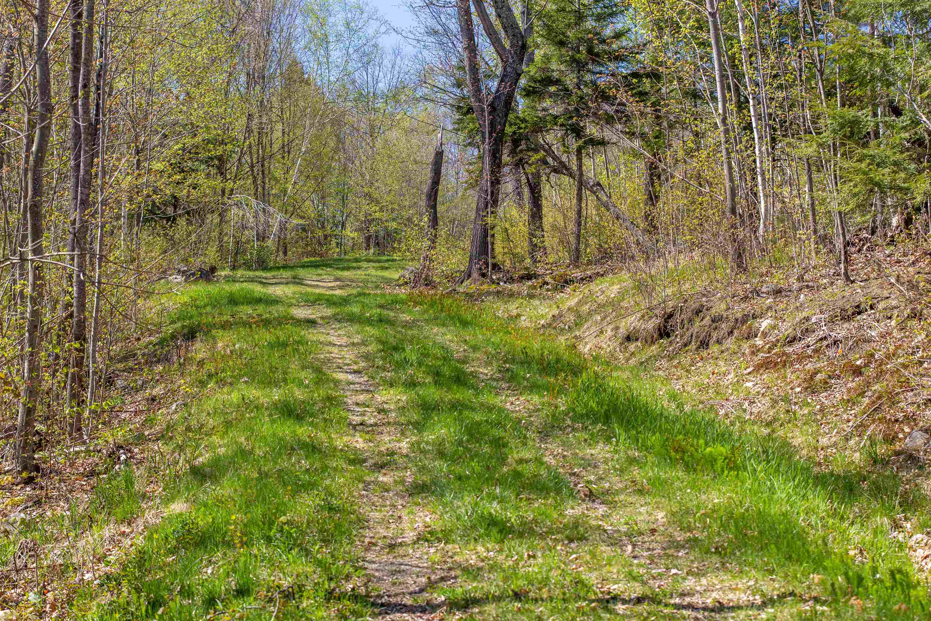 762 Cleveland Hill Road Tamworth, NH 03886 - Photo 27 of 40