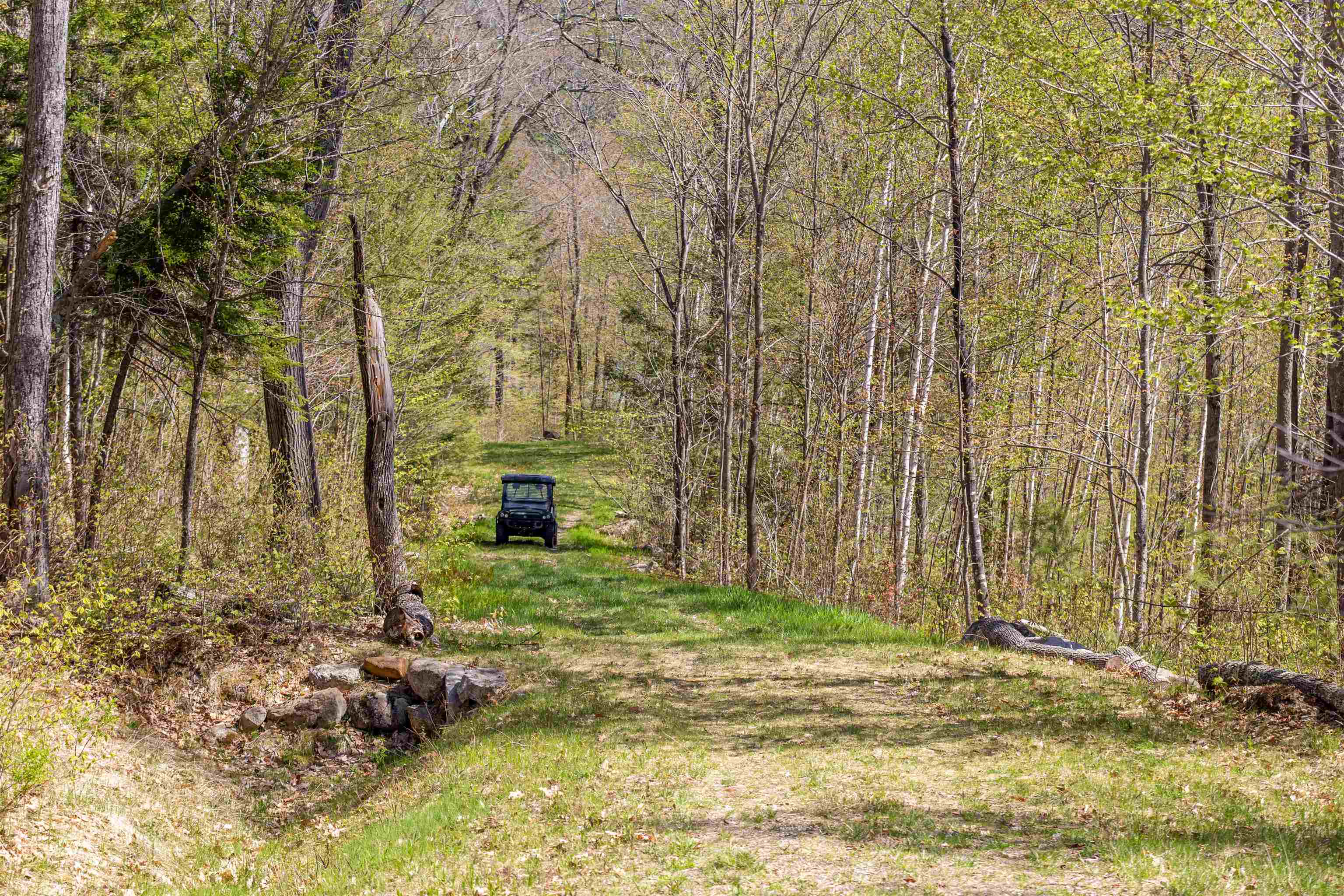 762 Cleveland Hill Road Tamworth, NH 03886 - Photo 28 of 40