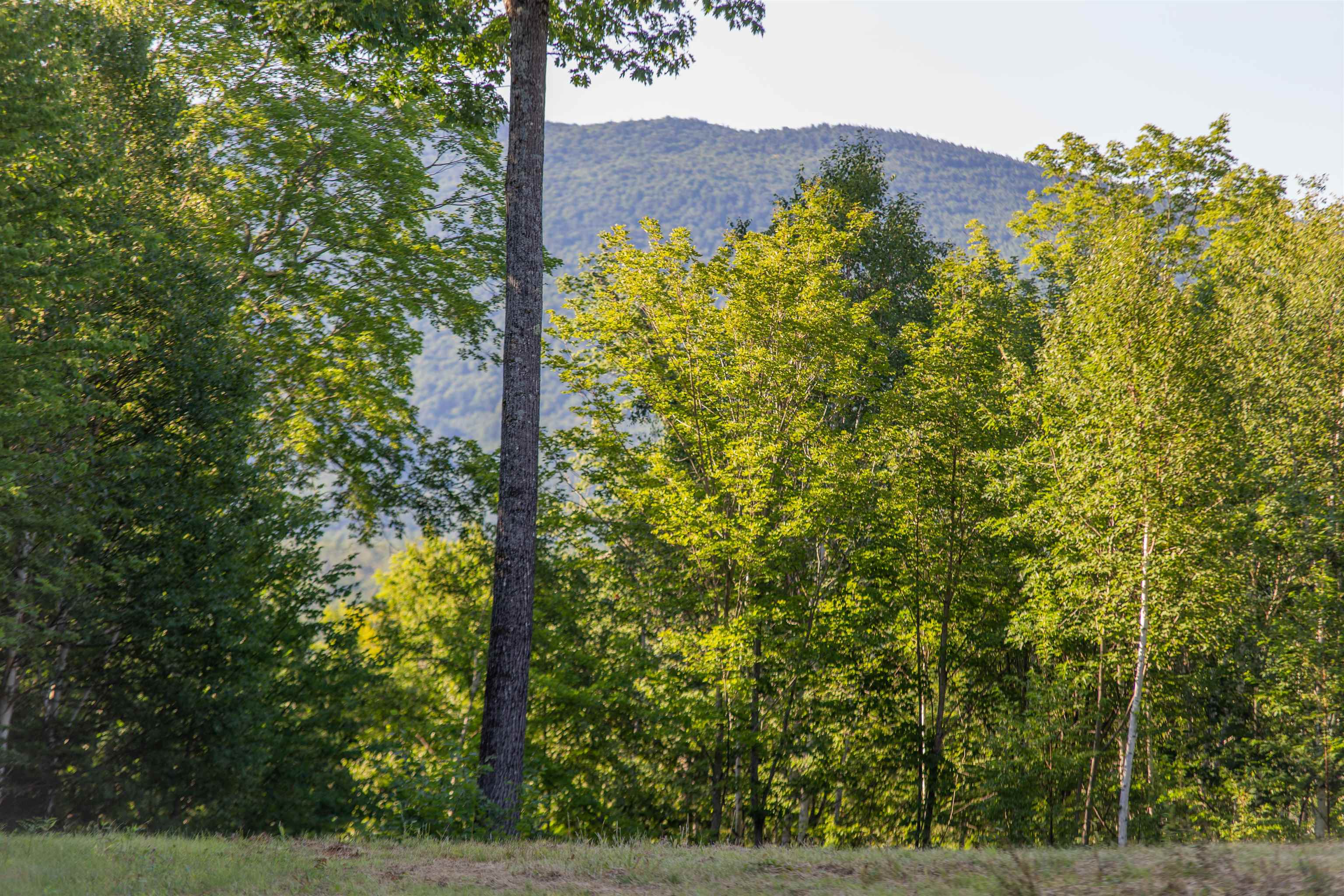 762 Cleveland Hill Road Tamworth, NH 03886 - Photo 30 of 40