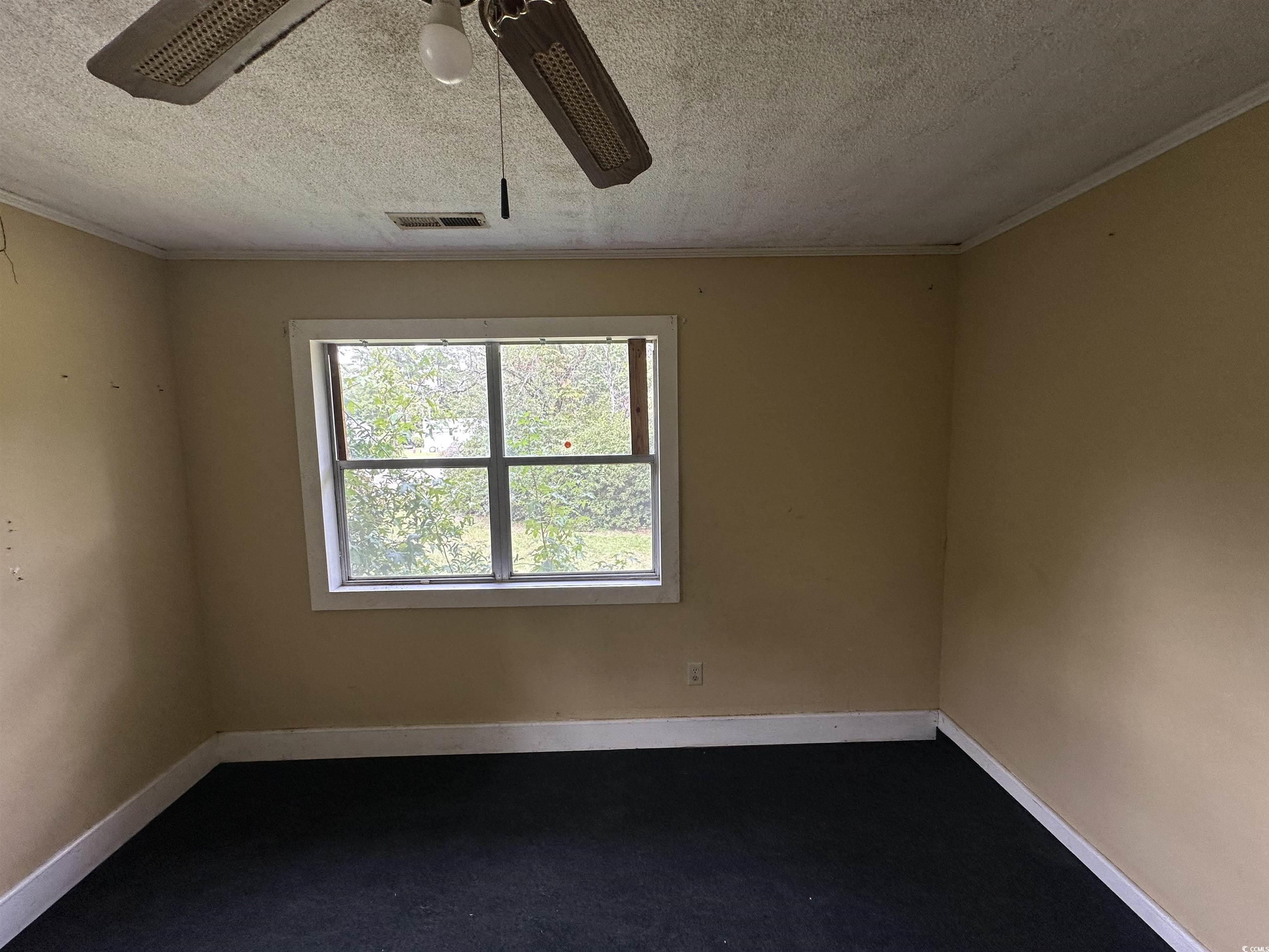 11185 Old Pee Dee Road Hemingway, SC 29554 - Photo 8 of 15 Empty room featuring a textured ceiling, ornamental molding, and ceiling fan