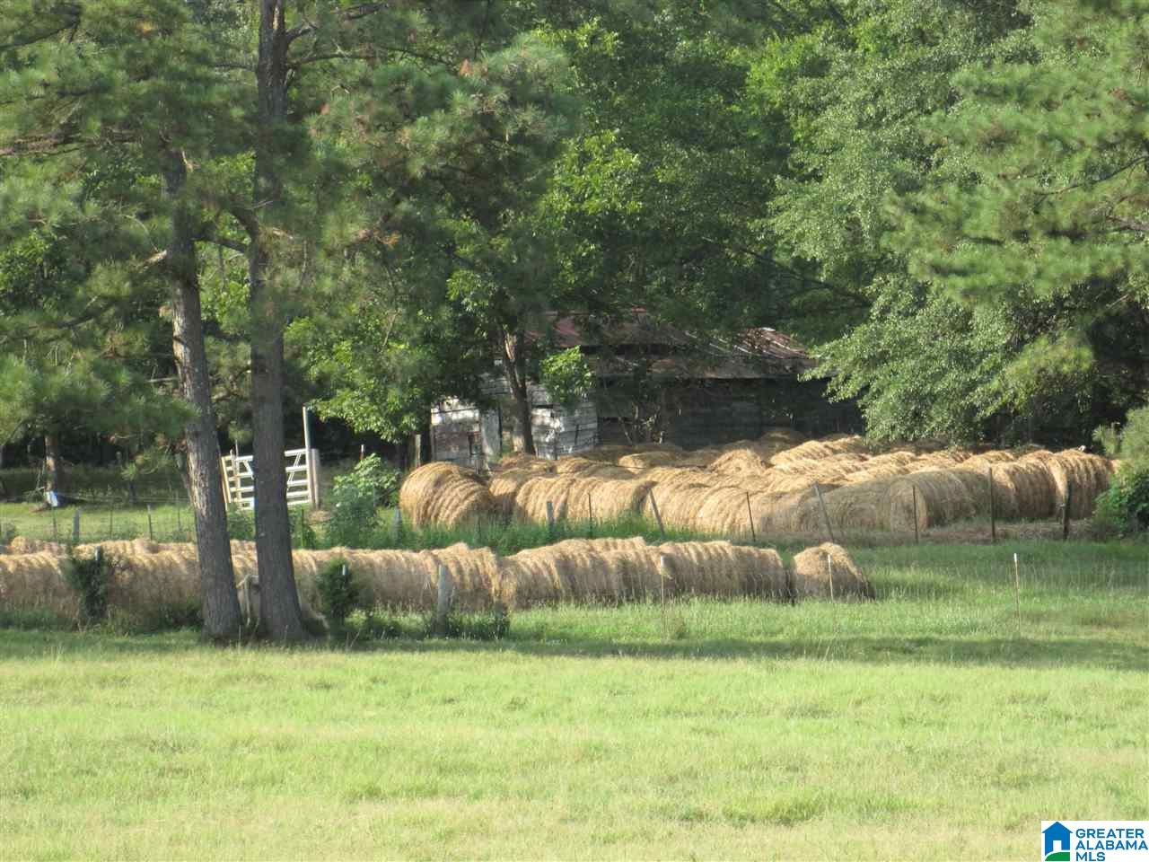 791-2 Dry Valley Road Lincoln, AL 35096 - Photo 28 of 50 Gallery Image 28