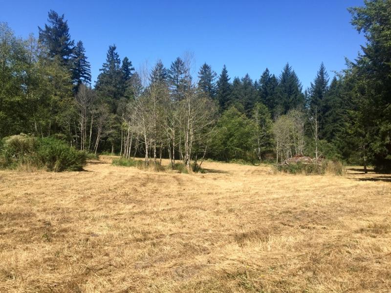 40-acres Liscom Hill Road Eureka, CA 95503 - Photo 8 of 8