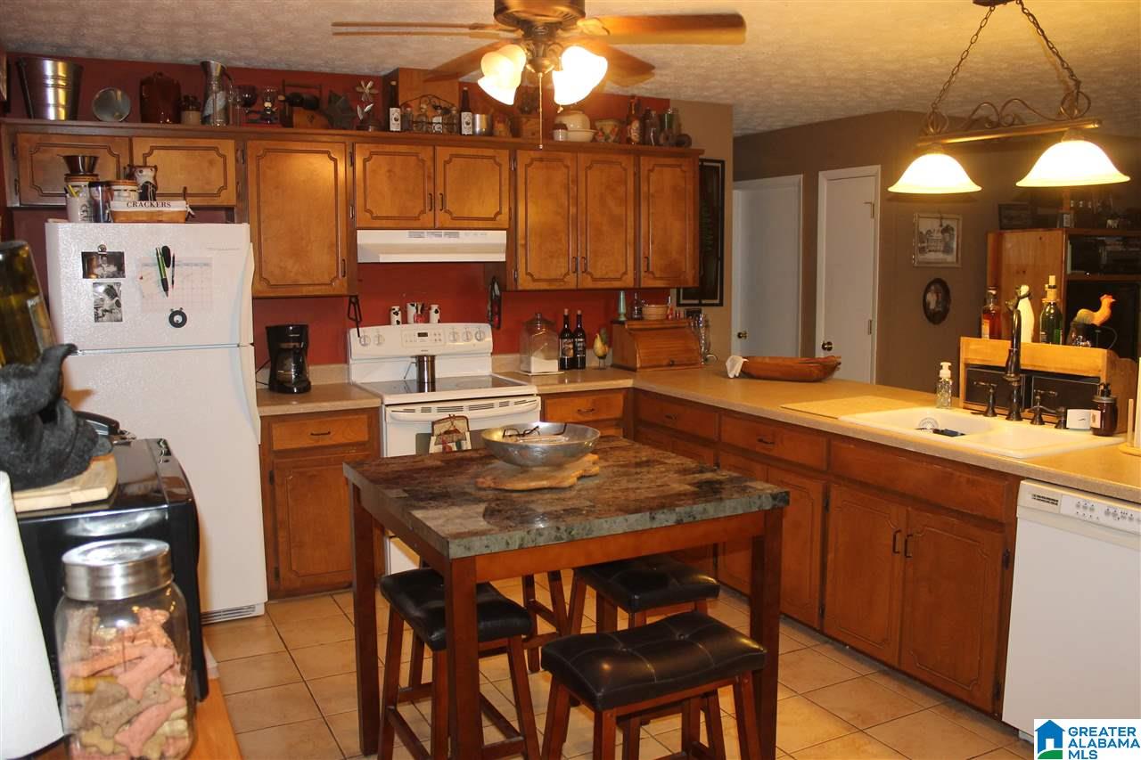 179 Riverview Lane Ohatchee, AL 36271 - Photo 4 of 29