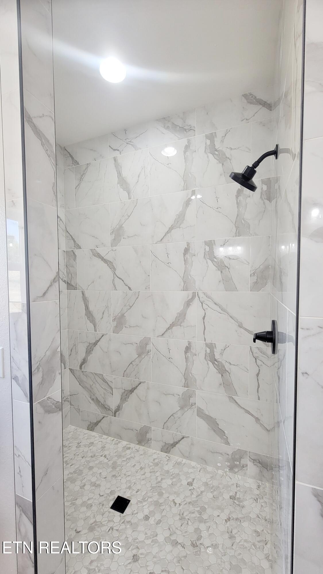253 Splendor Way Parrottsville, TN 37843 - Photo 22 of 30 WALKIN SHOWER