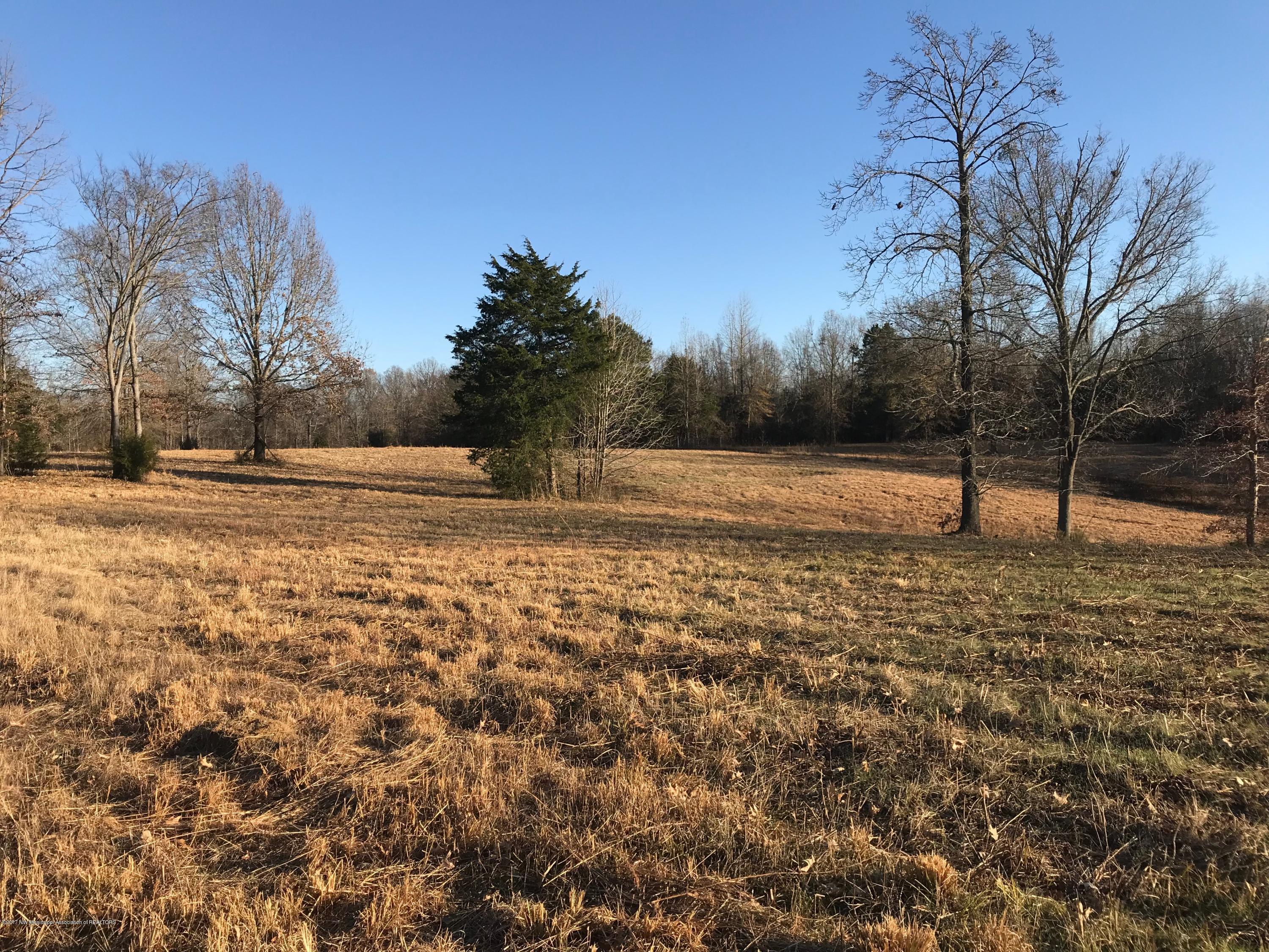 5491 Veazey Road Senatobia, MS 38668 - Photo 1 of 24 IMG_5200