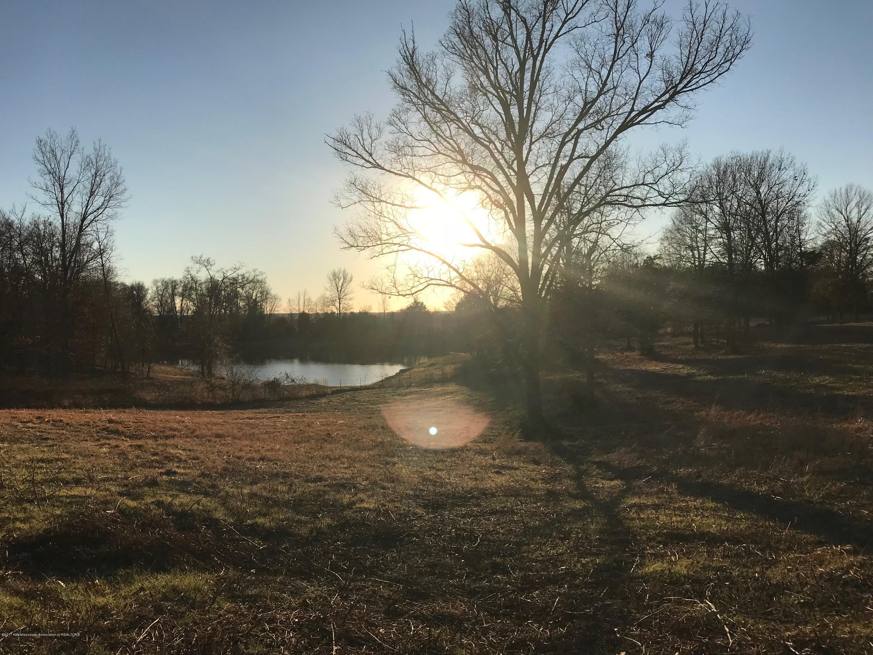 5491 Veazey Road Senatobia, MS 38668 - Photo 11 of 24 IMG_5209