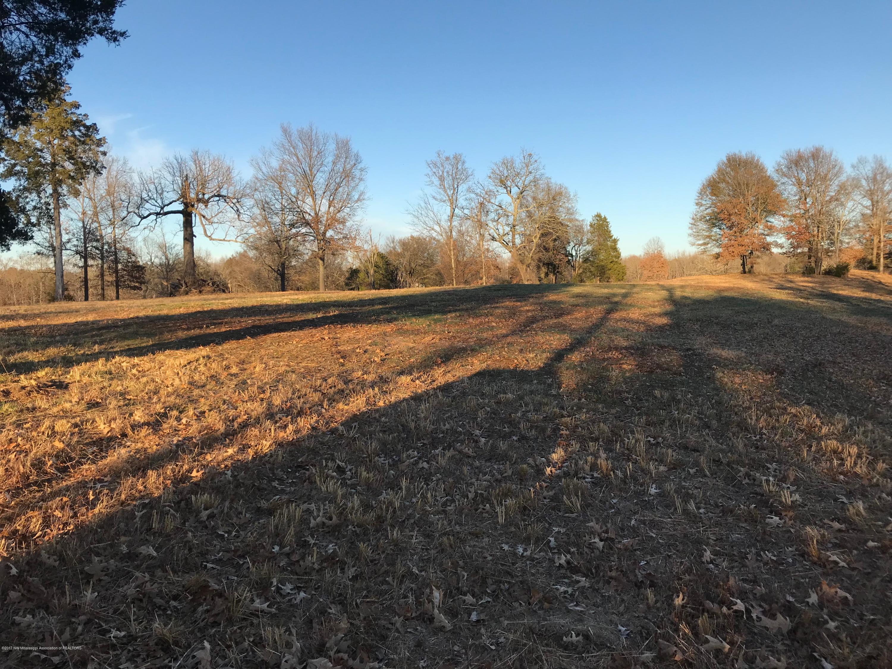 5491 Veazey Road Senatobia, MS 38668 - Photo 12 of 24 IMG_5210