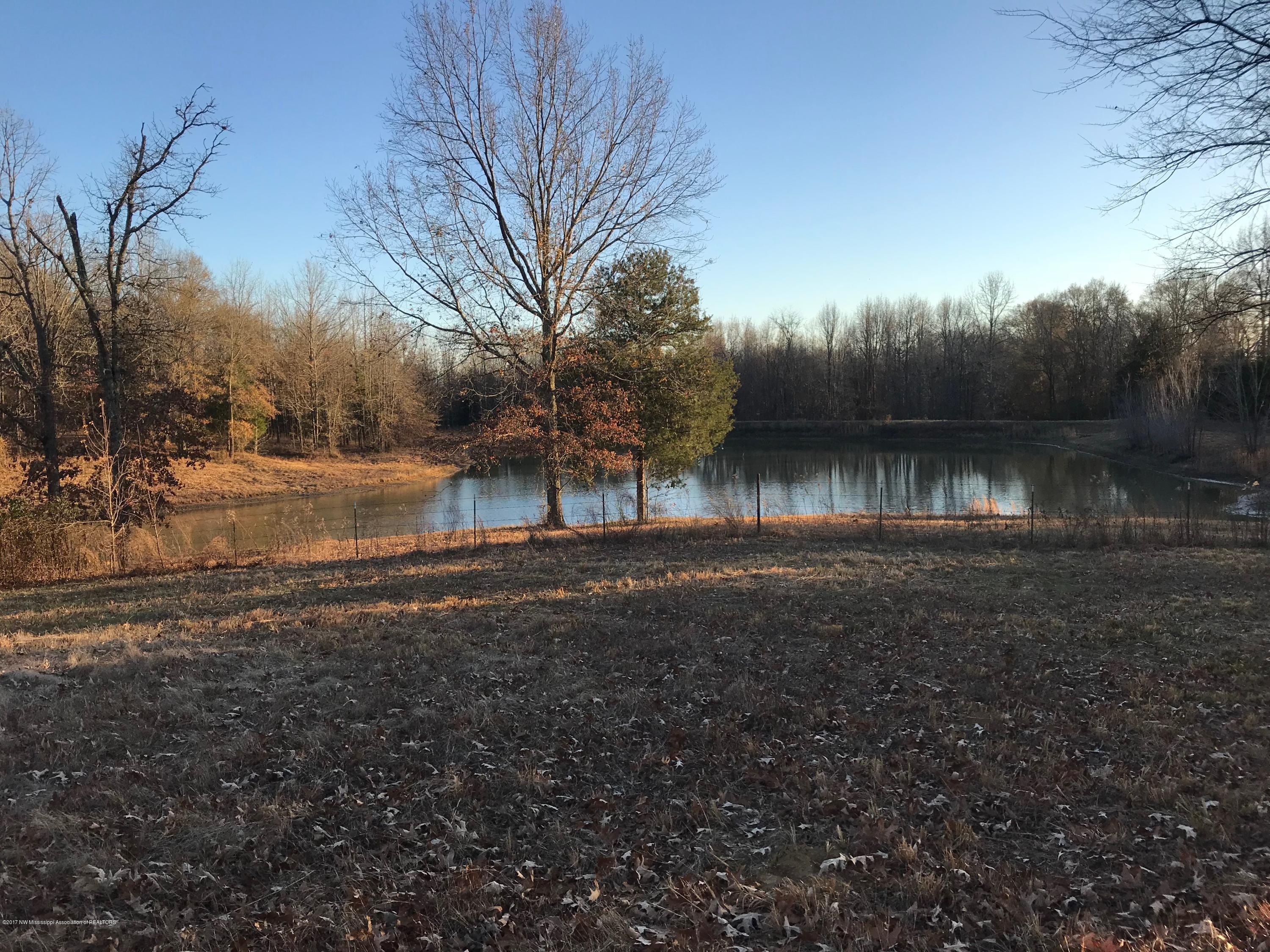 5491 Veazey Road Senatobia, MS 38668 - Photo 13 of 24 IMG_5211