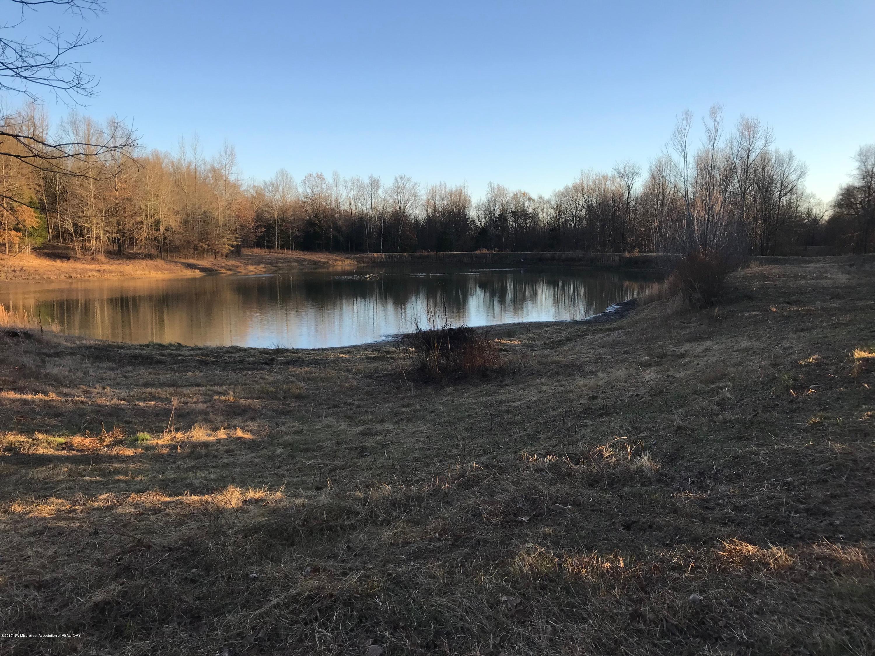 5491 Veazey Road Senatobia, MS 38668 - Photo 14 of 24 IMG_5212