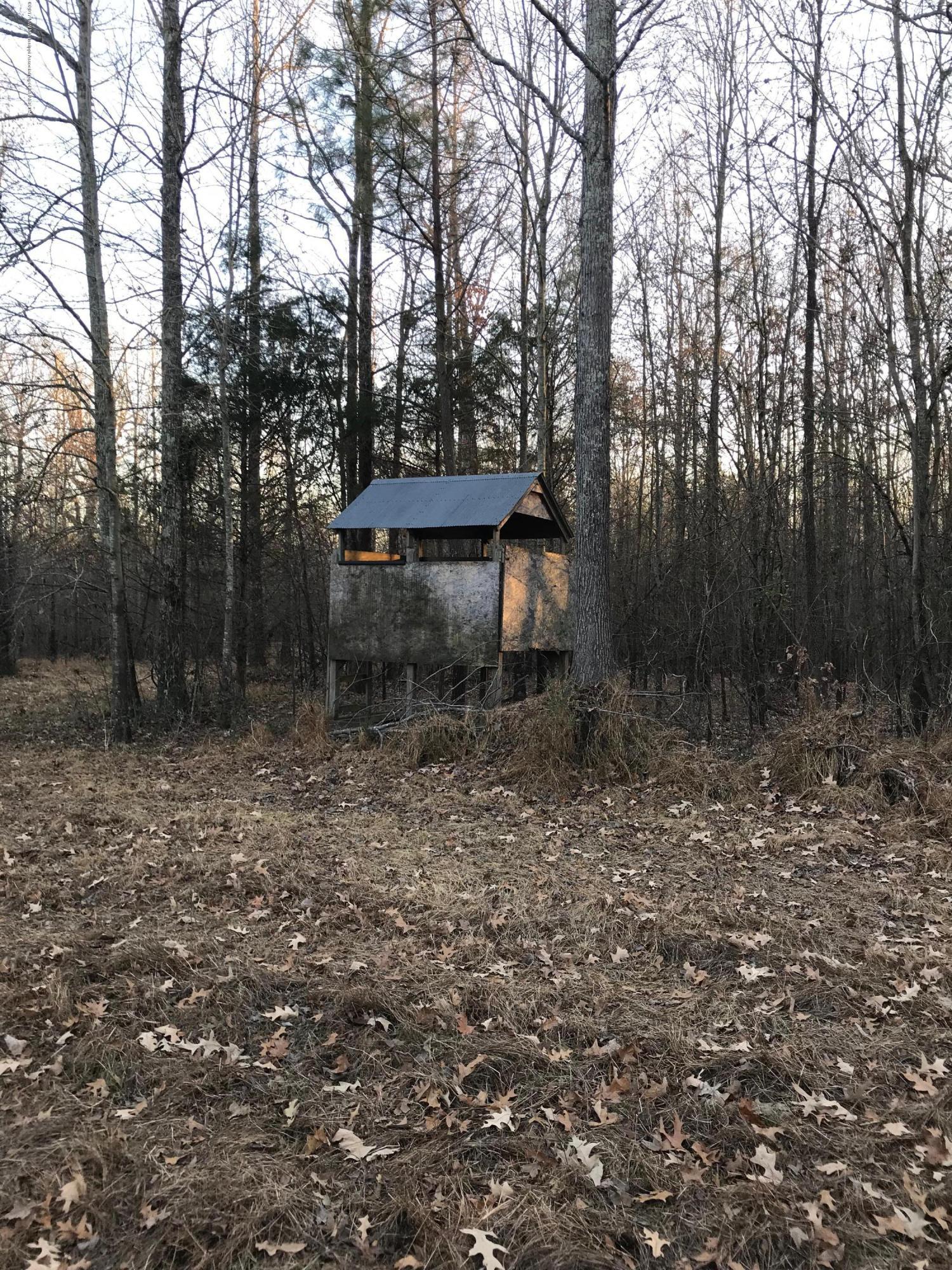 5491 Veazey Road Senatobia, MS 38668 - Photo 18 of 24 IMG_5218