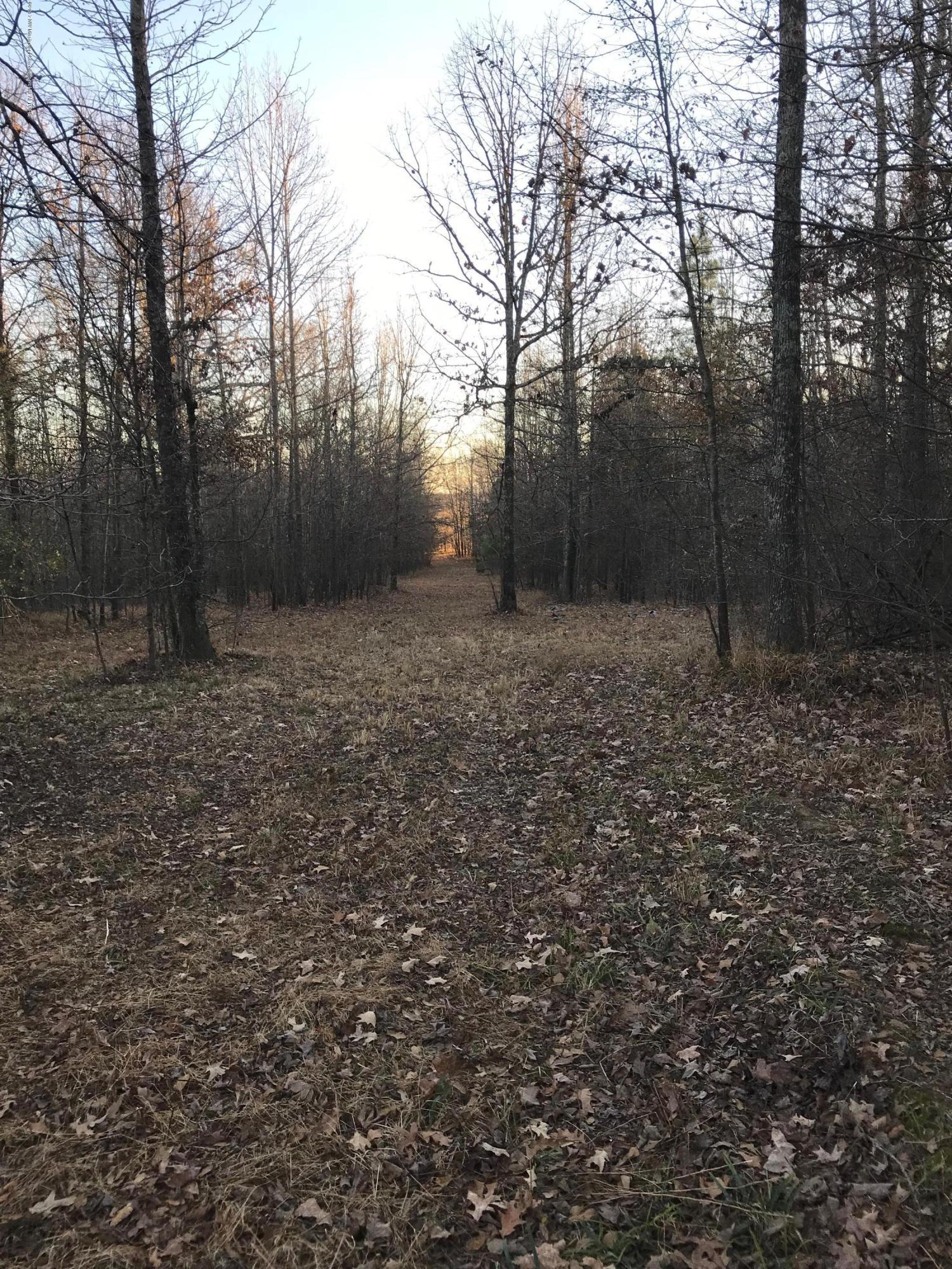 5491 Veazey Road Senatobia, MS 38668 - Photo 20 of 24 IMG_5220