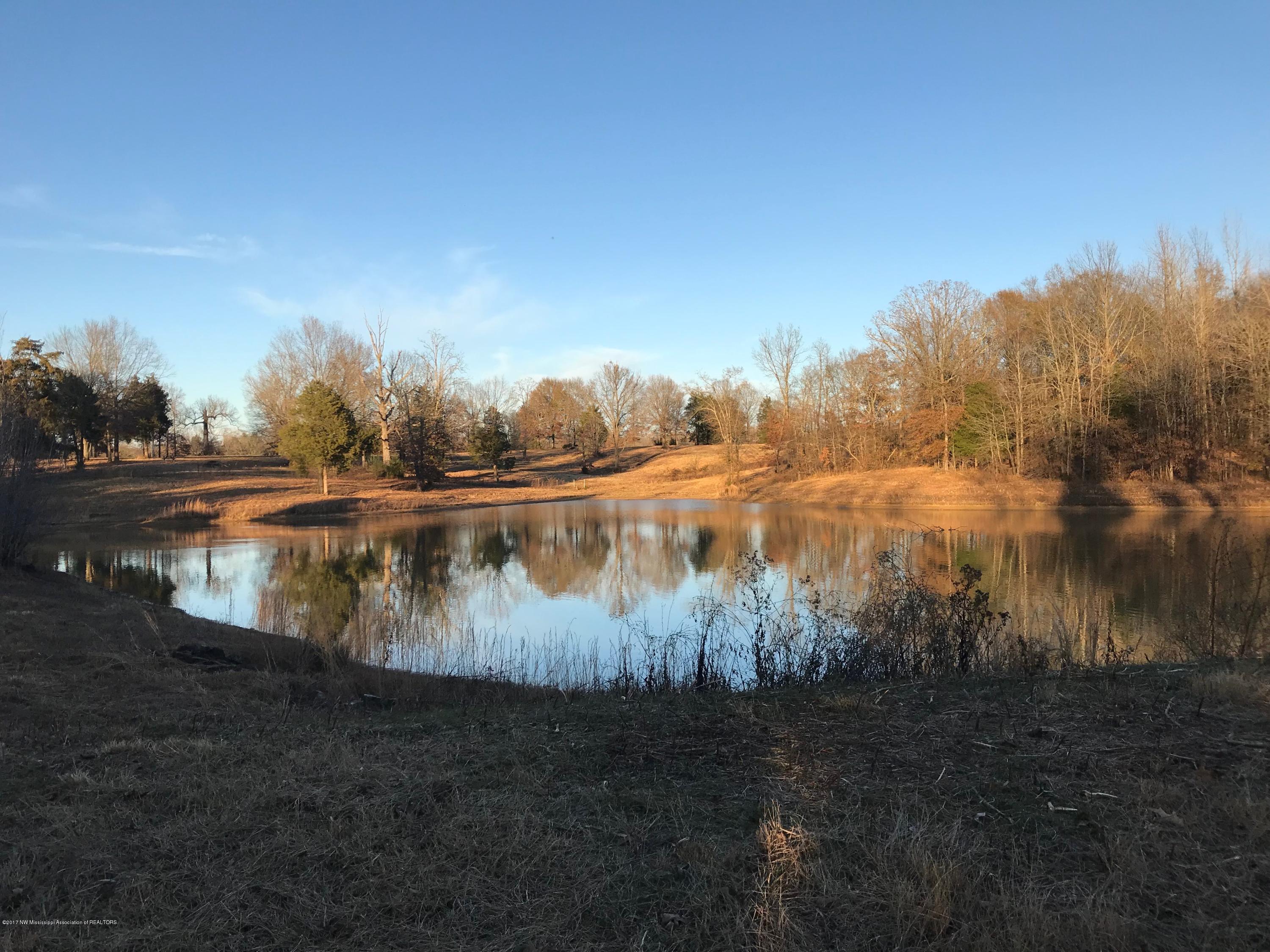 5491 Veazey Road Senatobia, MS 38668 - Photo 2 of 24 IMG_5213